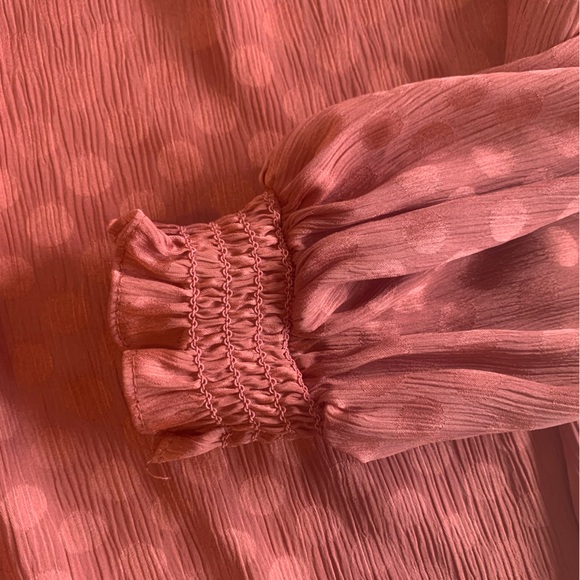 Max Studio Sheer Polka Dot Ruffle Puffed Sleeve‎ Rust Shirt Women’s L Preloved - Picture 4 of 9